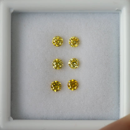 Close overhead view of the three yellow diamond pairs inside a white tray.