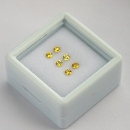 Raised diagonal tray showing the yellow pairs and depth of the display box.