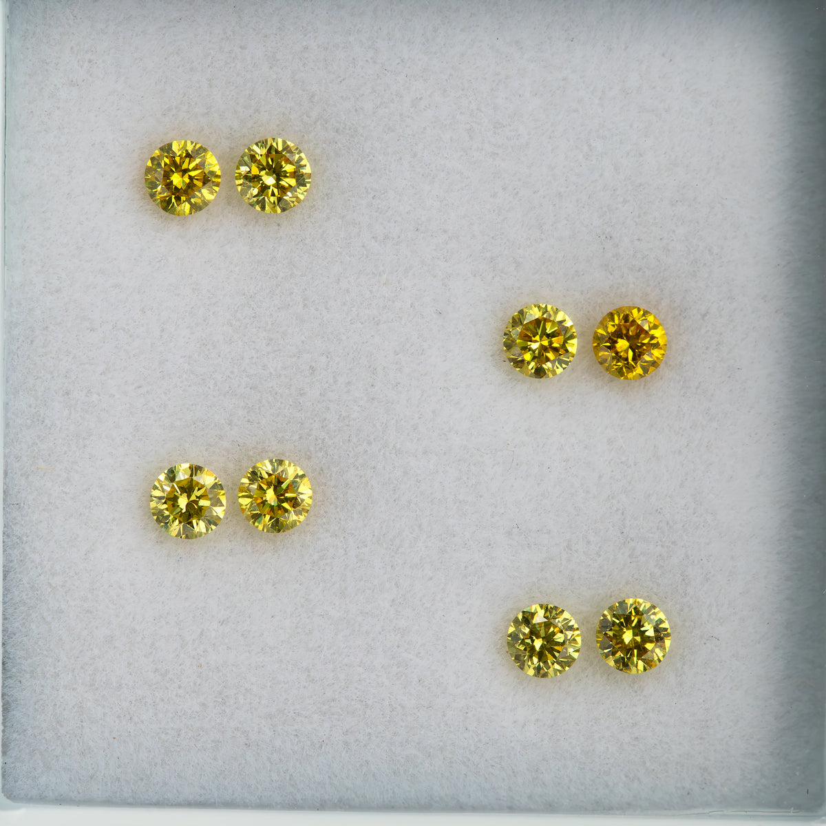 Loose face-up display of four matched yellow diamond pairs on a pale surface.
