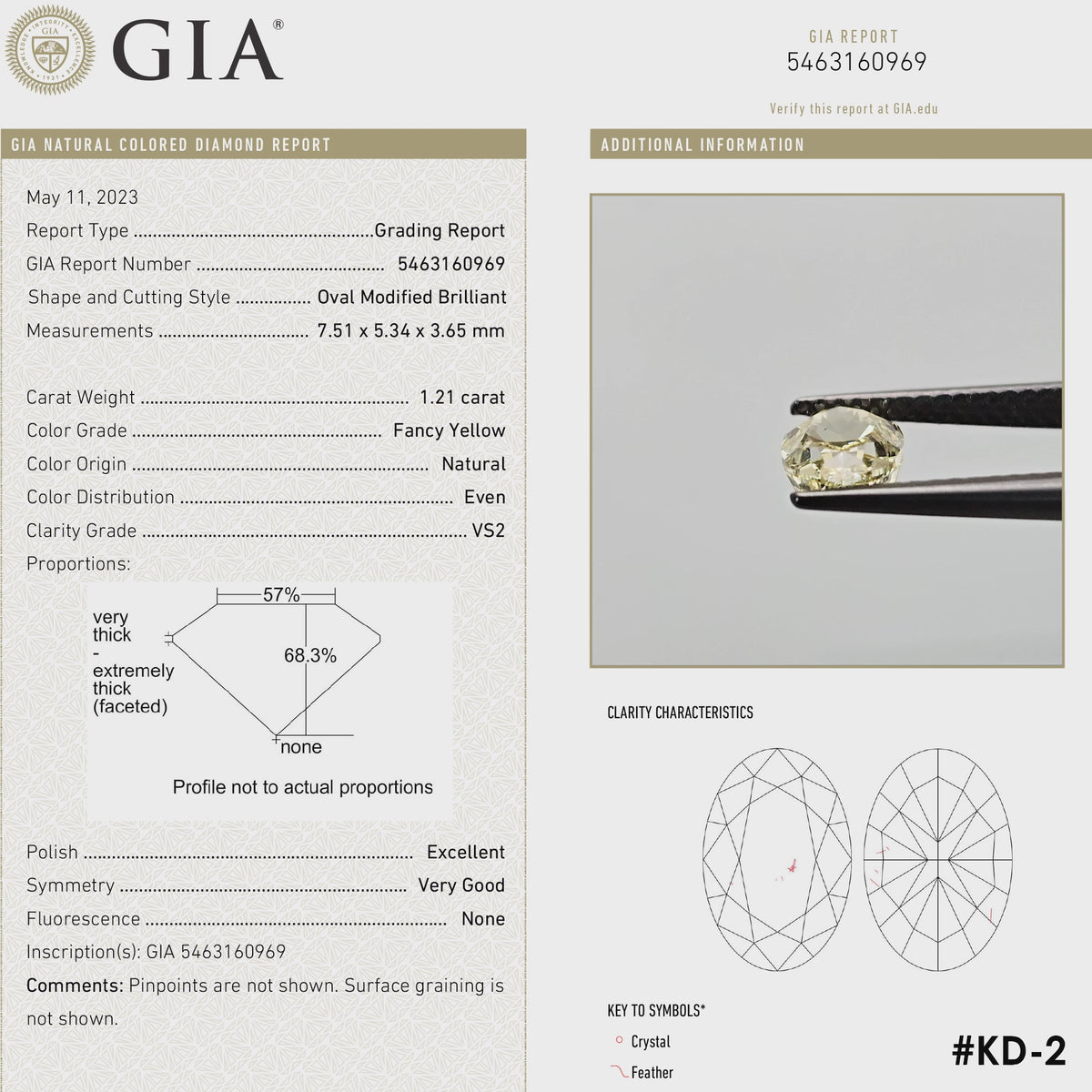 Square-format video: The yellow oval diamond turns in tweezers and rests against fingertips for scale, alongside its GIA report details.