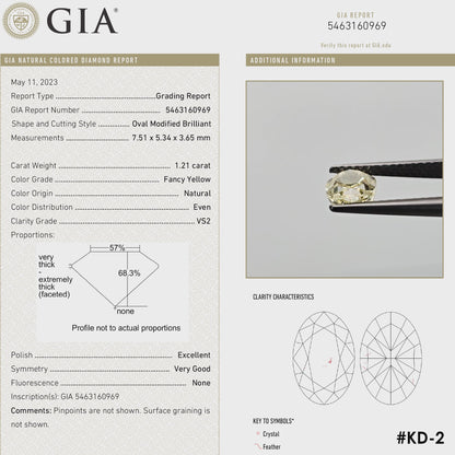 Square-format video: The yellow oval diamond turns in tweezers and rests against fingertips for scale, alongside its GIA report details.