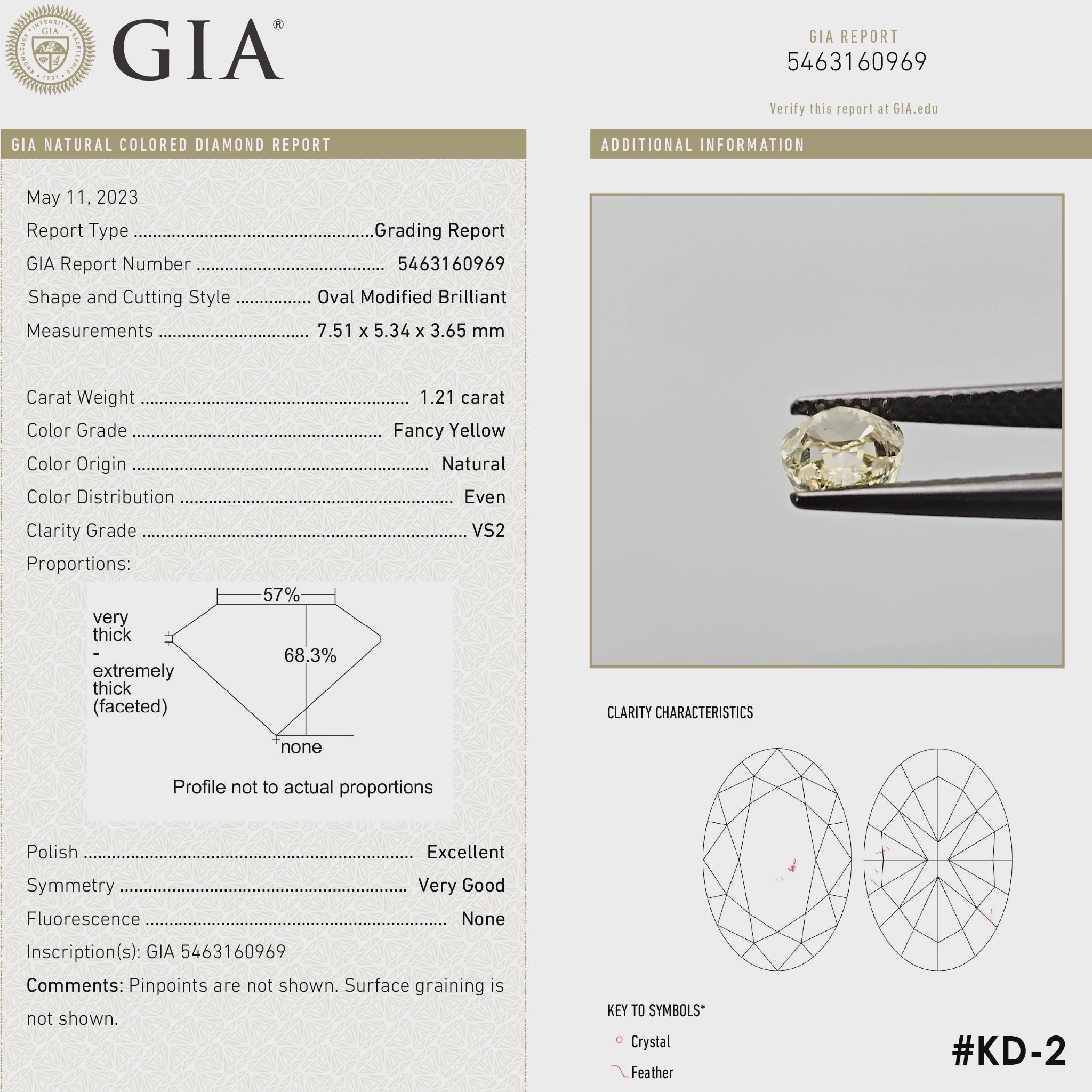 Square-format video: The yellow oval diamond turns in tweezers and rests against fingertips for scale, alongside its GIA report details.