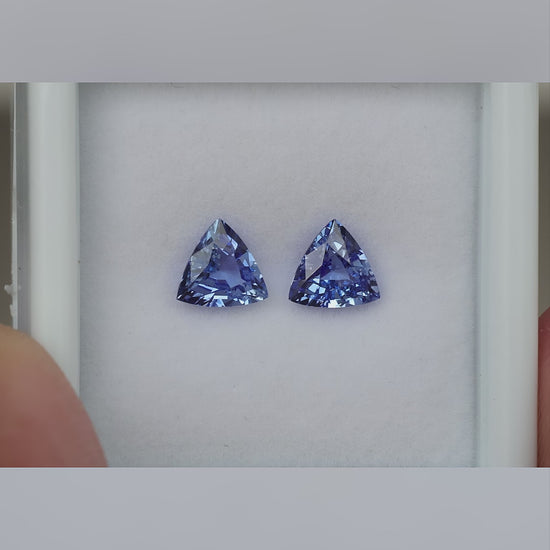 Video of the blue trillion-cut sapphire pair, shown on a white surface and held between fingers.