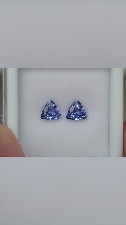 Video of the blue trillion-cut sapphire pair, shown on a white surface and held between fingers.