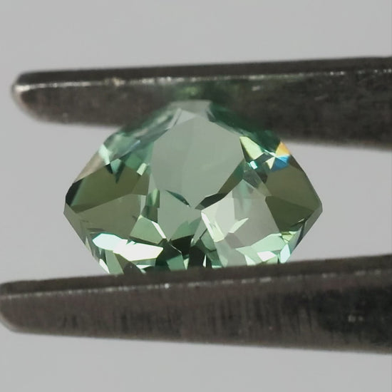 Natural-light finished video of representative BLS203, showing crown, marked back and finger-scale views.