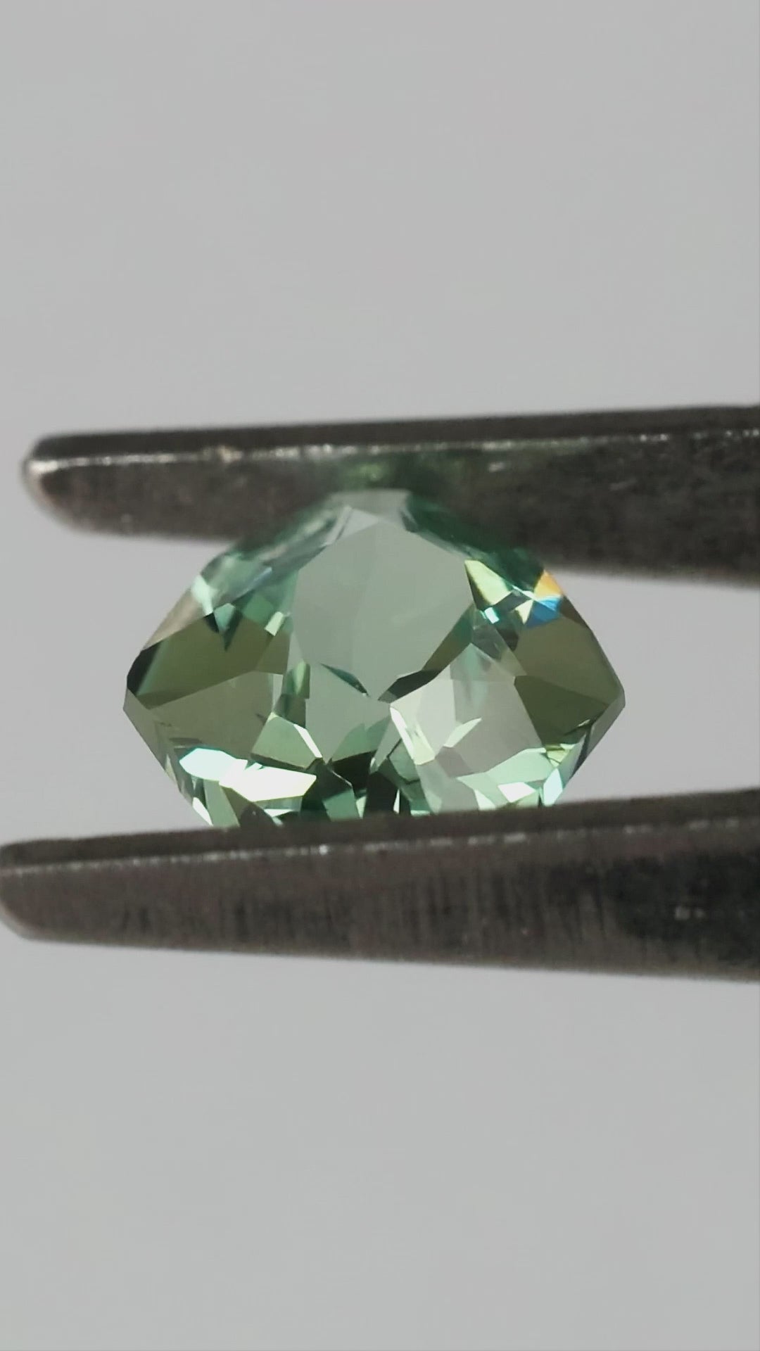 Natural-light finished video of representative BLS203, showing crown, marked back and finger-scale views.