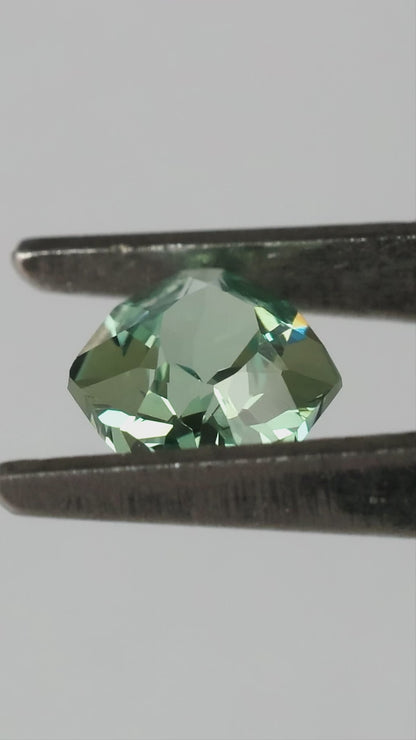 Natural-light finished video of representative BLS203, showing crown, marked back and finger-scale views.