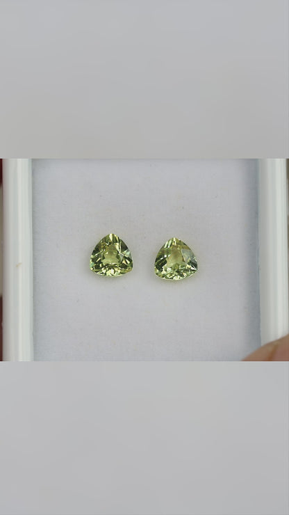 The exact two-stone sapphire pair in a white tray, followed by closer views showing movement and changing reflections.