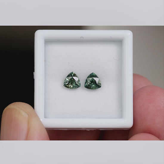 The exact sapphire pair in a white tray held between fingers, with slight tilting and a closer view of the stones.