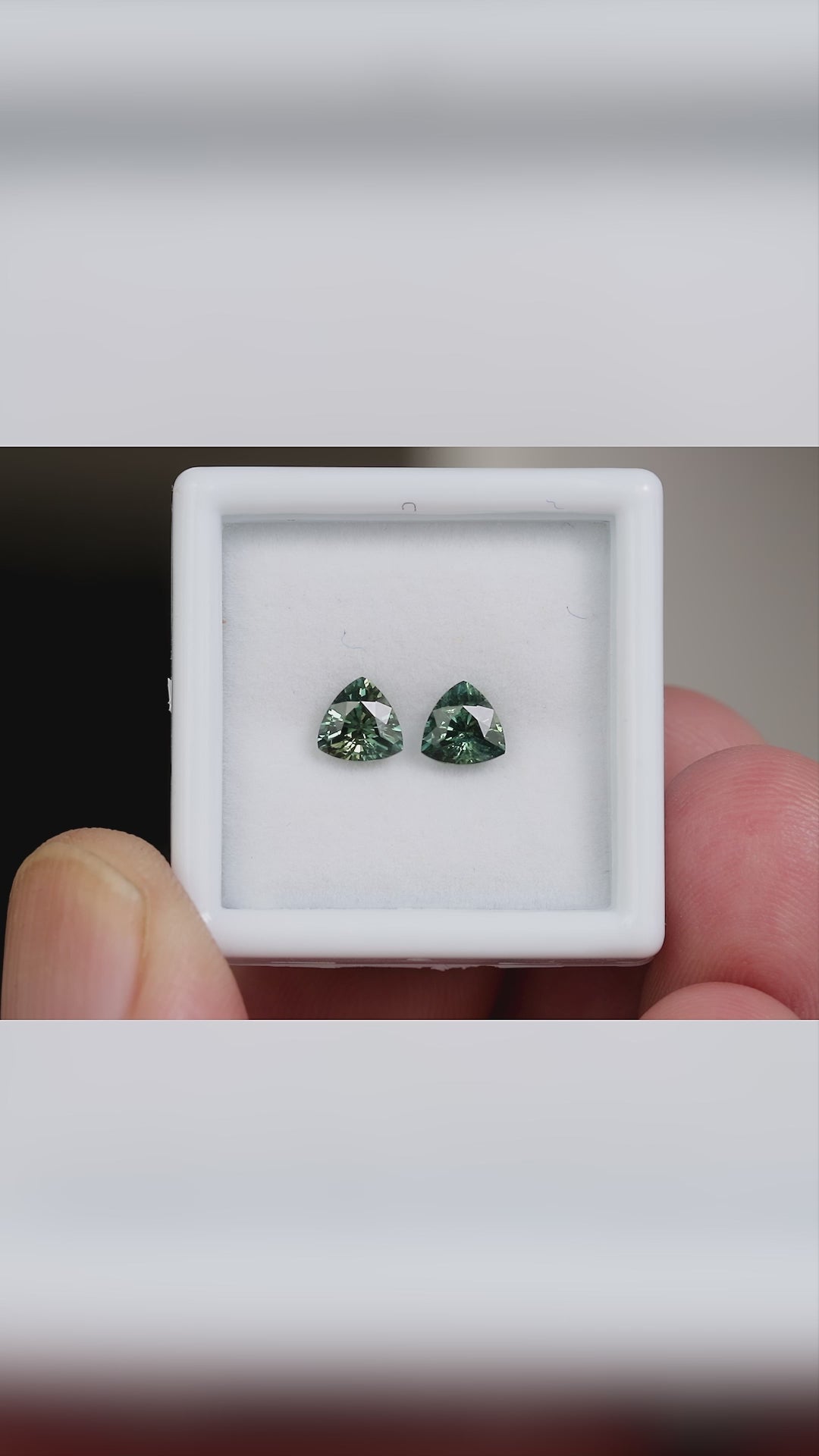 The exact sapphire pair in a white tray held between fingers, with slight tilting and a closer view of the stones.