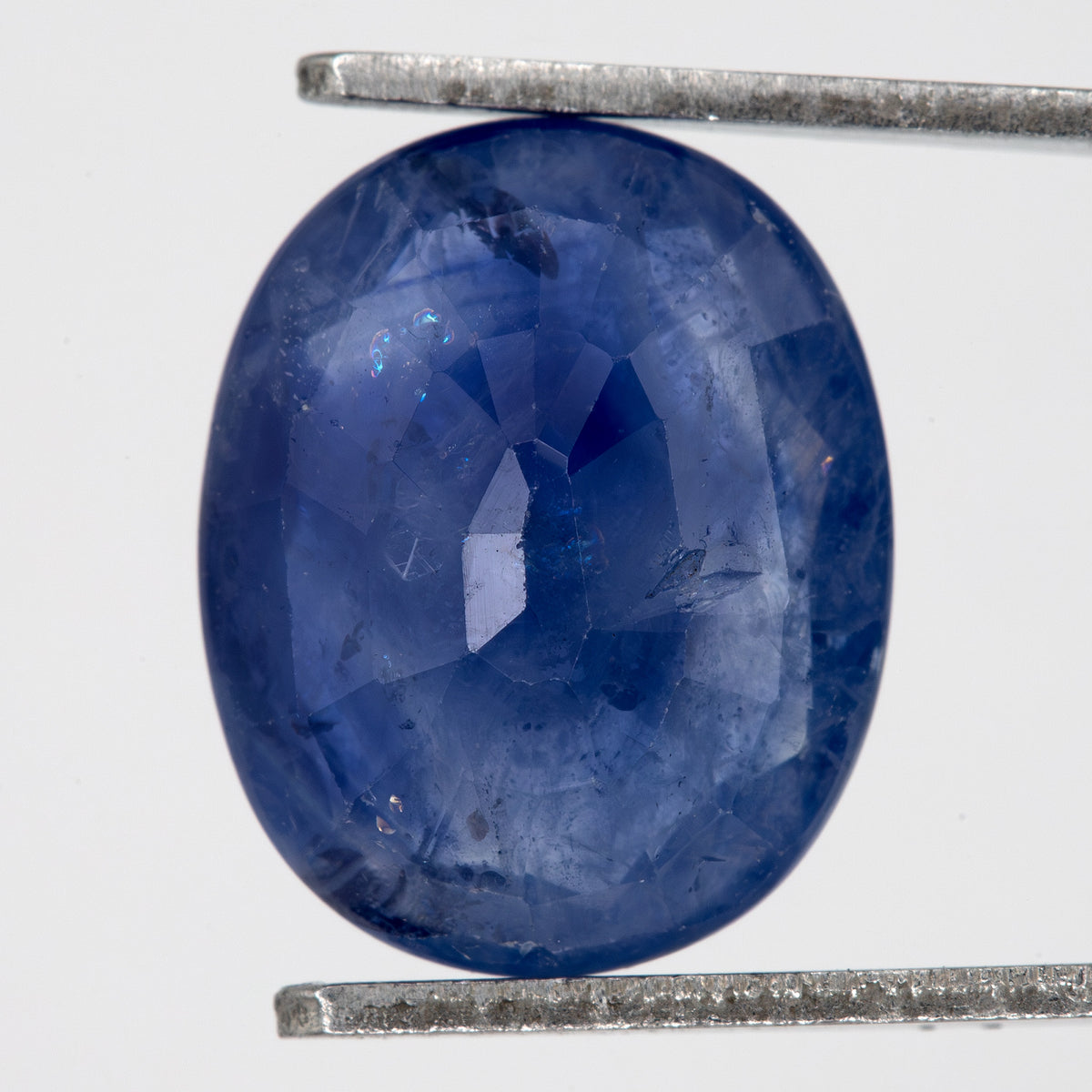 Back view of the oval blue sapphire, showing the pavilion faceting and outline.