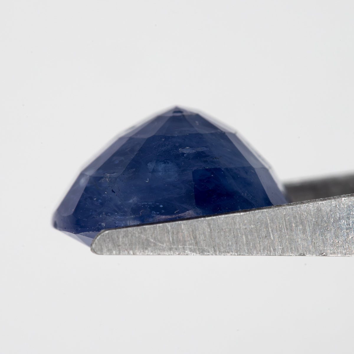 Side profile of the oval blue sapphire held in tweezers, showing crown and pavilion depth.