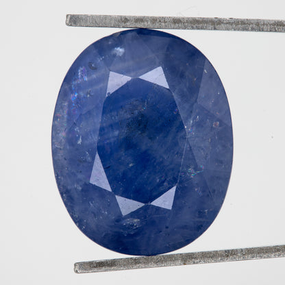 Face-up view of the oval blue sapphire in tweezers, showing its outline, table and visible inclusions.