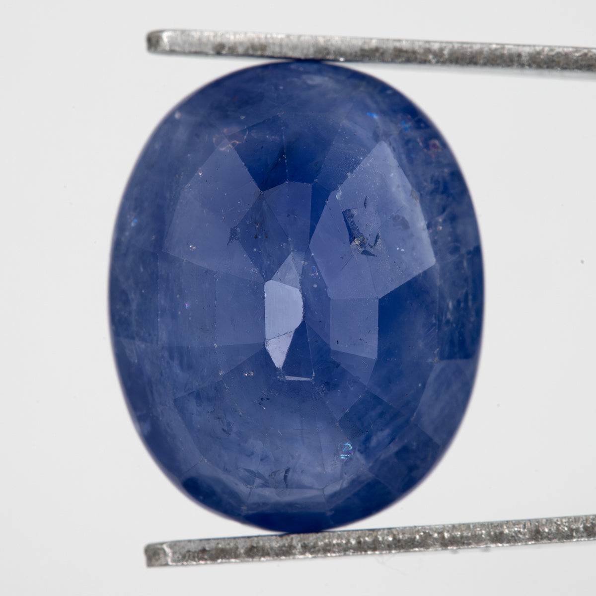 Back view of the oval blue sapphire, showing the pavilion faceting and outline.