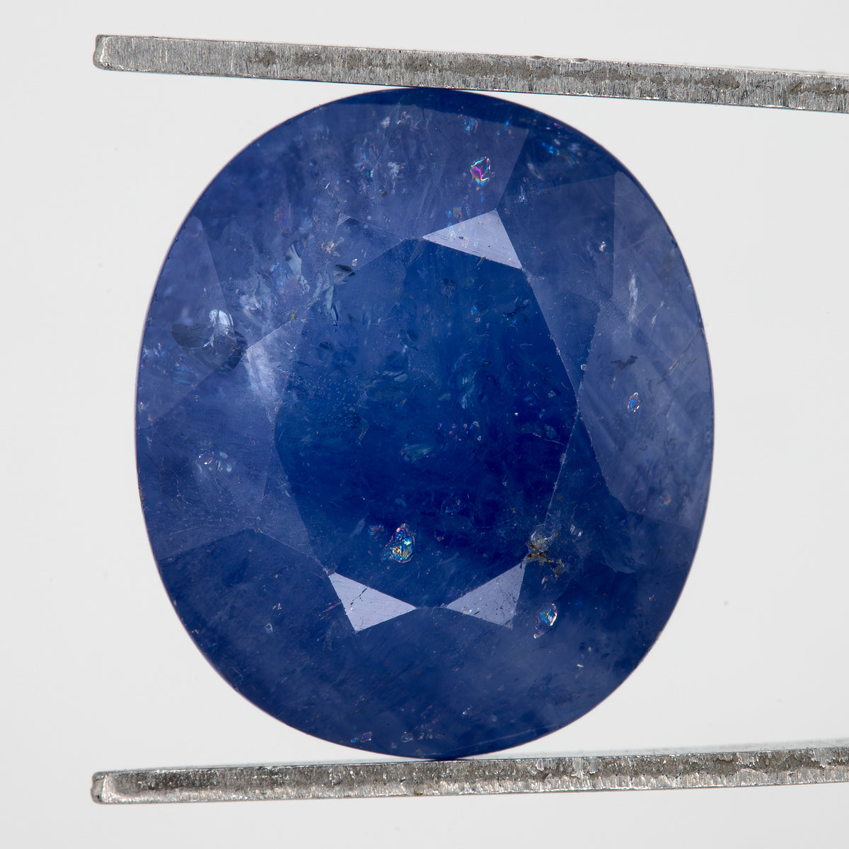 Face-up view of the oval blue sapphire in tweezers, showing its outline, table and visible inclusions.