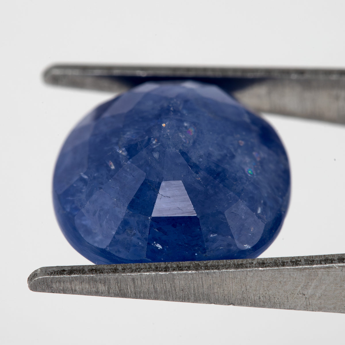 Tilted back view of the oval blue sapphire in tweezers, showing its pavilion facets.