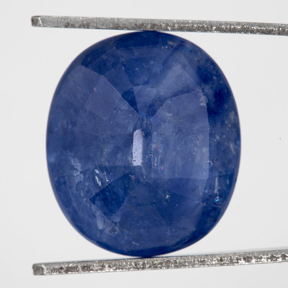 Back view of the oval blue sapphire, showing the pavilion faceting and outline.