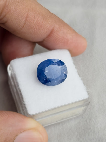 Face-up oval blue sapphire resting on a white display pad held in a hand.